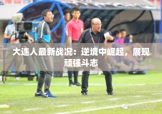 大连人最新战况：逆境中崛起，展现顽强斗志