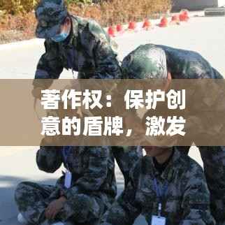 著作权:保护创意的盾牌,激发创新的源泉