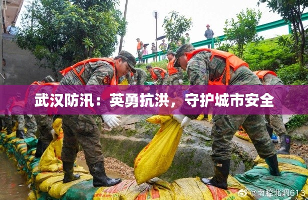 武汉防汛:英勇抗洪,守护城市安全