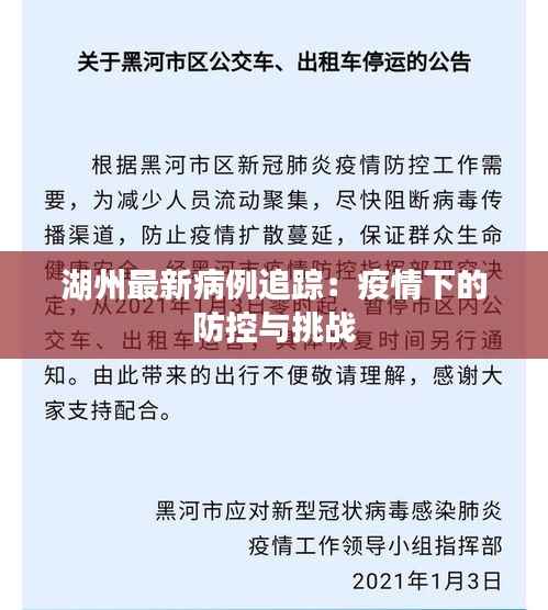 湖州最新病例追踪:疫情下的防控与挑战