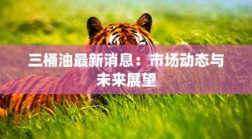 三桶油最新消息:市场动态与未来展望