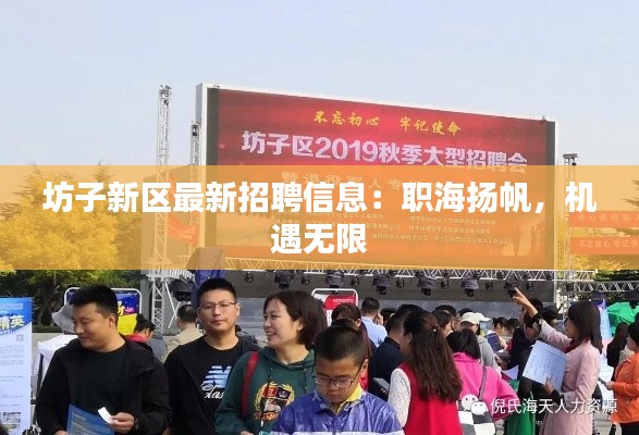 坊子新区最新招聘信息:职海扬帆,机遇无限