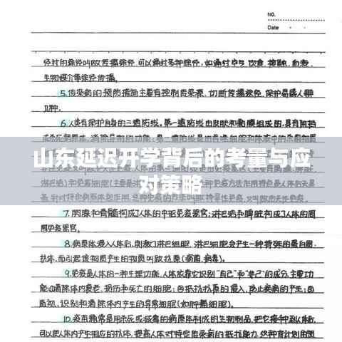 山东延迟开学背后的考量与应对策略