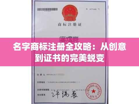 名字商标注册全攻略：从创意到证书的完美蜕变