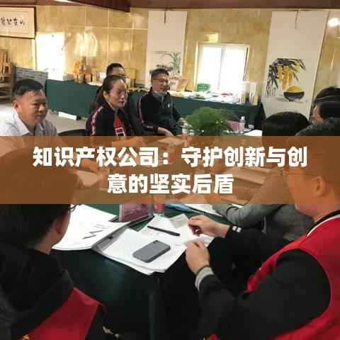 知识产权公司:守护创新与创意的坚实后盾