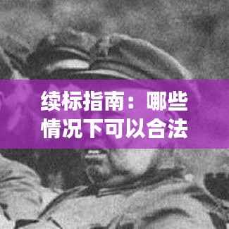 续标指南:哪些情况下可以合法进行续标操作