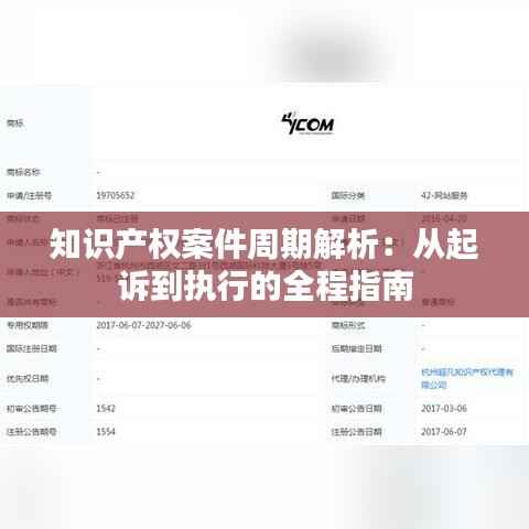 知识产权案件周期解析:从起诉到执行的全程指南
