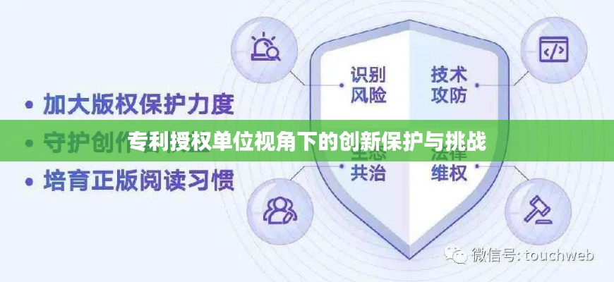 专利授权单位视角下的创新保护与挑战