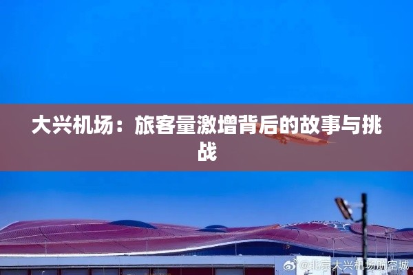 大兴机场:旅客量激增背后的故事与挑战