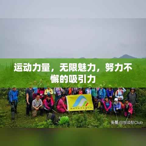 运动力量,无限魅力,努力不懈的吸引力