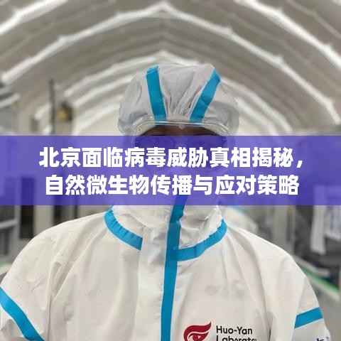 北京面临病毒威胁真相揭秘,自然微生物传播与应对策略