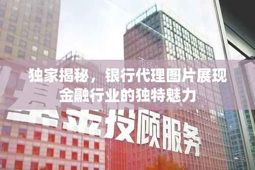 独家揭秘,银行代理图片展现金融行业的独特魅力