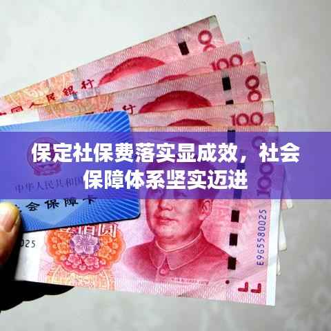 保定社保费落实显成效,社会保障体系坚实迈进