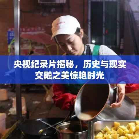 央视纪录片揭秘,历史与现实交融之美惊艳时光