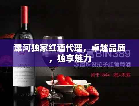 漯河独家红酒代理,卓越品质,独享魅力