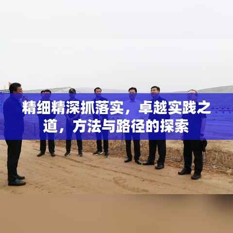精细精深抓落实,卓越实践之道,方法与路径的探索