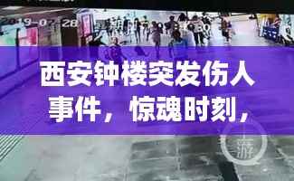 西安钟楼突发伤人事件,惊魂时刻,紧急救援行动启动
