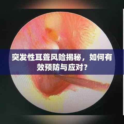 突发性耳聋风险揭秘,如何有效预防与应对?