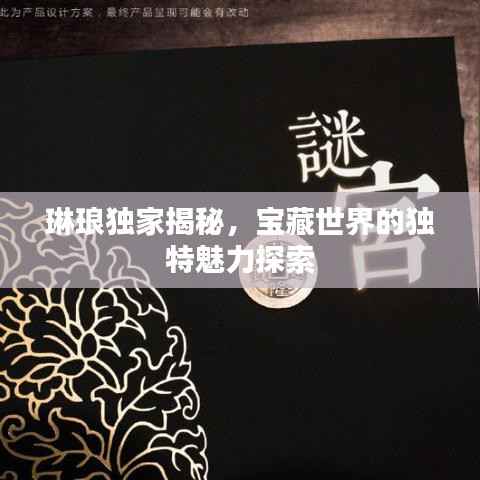 琳琅独家揭秘,宝藏世界的独特魅力探索