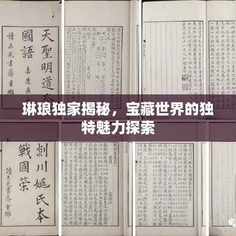 琳琅独家揭秘,宝藏世界的独特魅力探索
