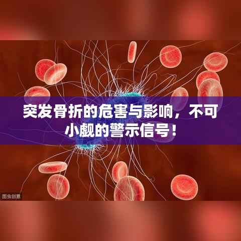 走马观花 第2页