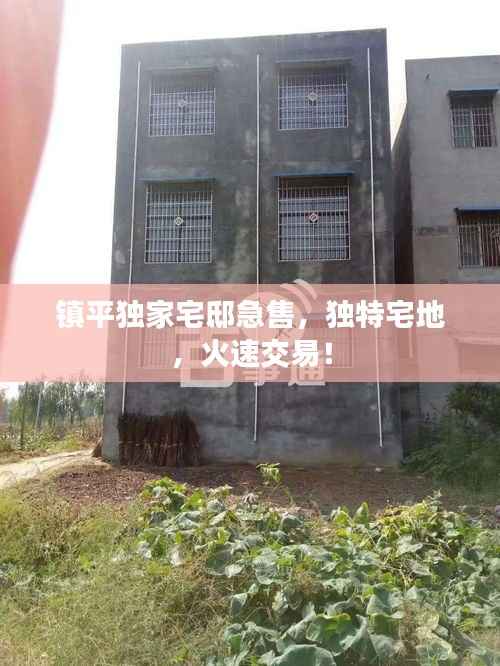 镇平独家宅邸急售,独特宅地,火速交易!