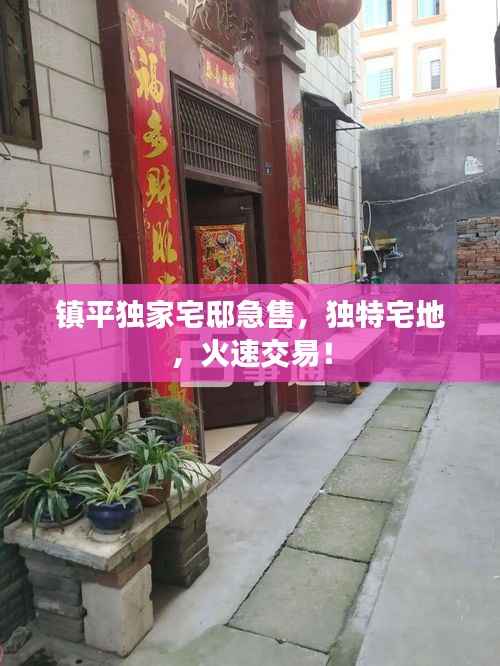 镇平独家宅邸急售,独特宅地,火速交易!