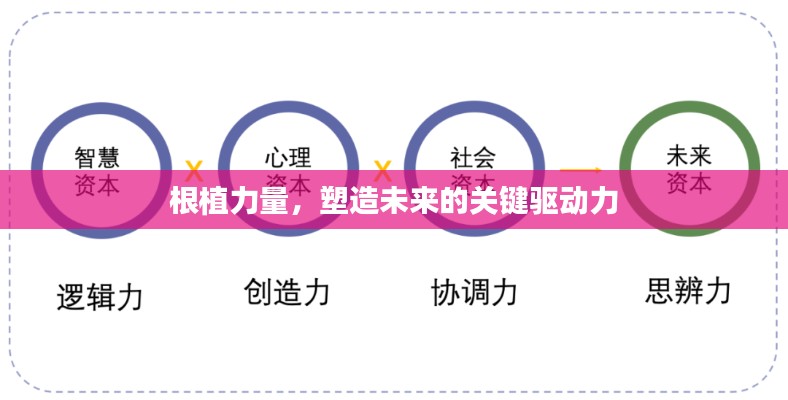 根植力量,塑造未来的关键驱动力