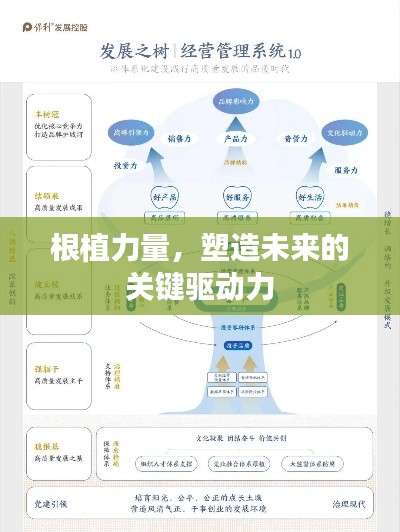 根植力量,塑造未来的关键驱动力