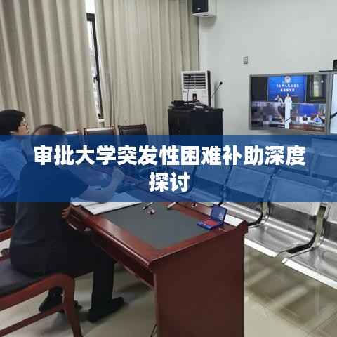 审批大学突发性困难补助深度探讨