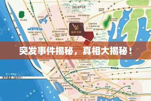 突发事件揭秘,真相大揭秘!