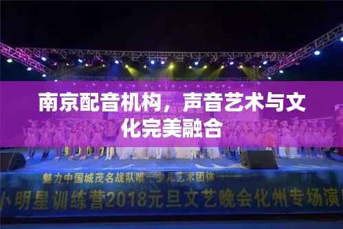 南京配音机构,声音艺术与文化完美融合