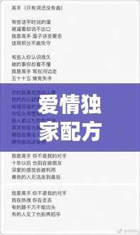 爱情独家配方歌词,独家爱情 小说
