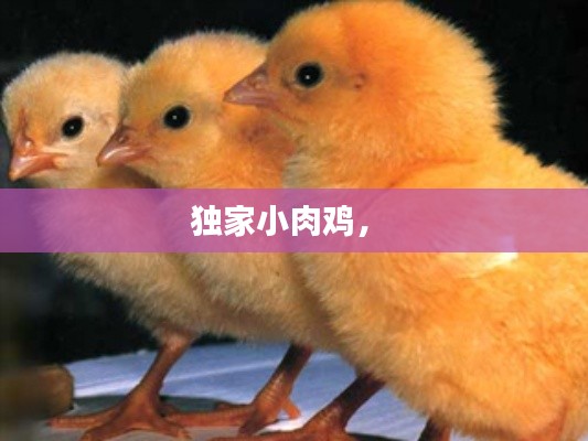 忠心耿耿 第3页