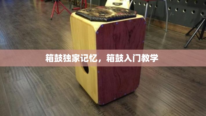 箱鼓独家记忆,箱鼓入门教学