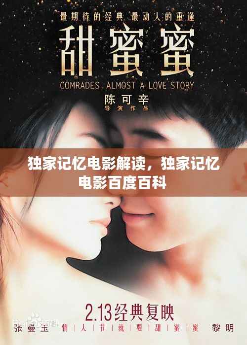 独家记忆电影解读,独家记忆电影百度百科