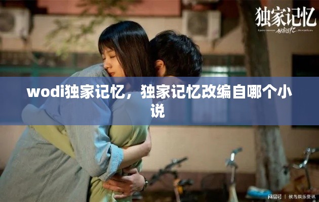 wodi独家记忆,独家记忆改编自哪个小说