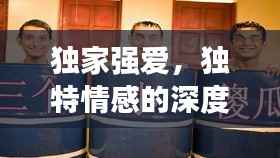 独家强爱,独特情感的深度剖析