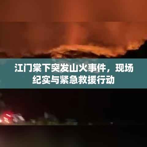 江门棠下突发山火事件,现场纪实与紧急救援行动