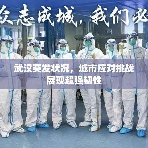 武汉突发状况,城市应对挑战展现超强韧性