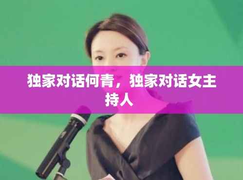 独家对话何青,独家对话女主持人