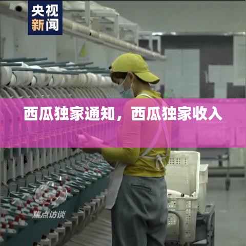 西瓜独家通知,西瓜独家收入