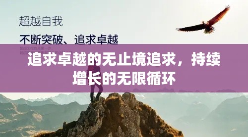 追求卓越的无止境追求,持续增长的无限循环