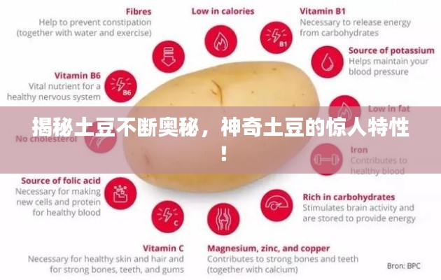 揭秘土豆不断奥秘,神奇土豆的惊人特性!
