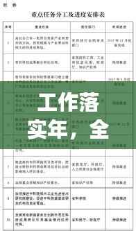 工作落实年,全面规划工作方案,助力高效执行与成果呈现