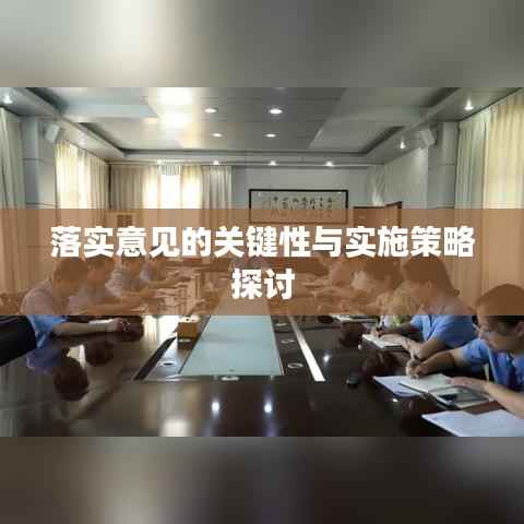 落实意见的关键性与实施策略探讨
