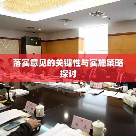 落实意见的关键性与实施策略探讨