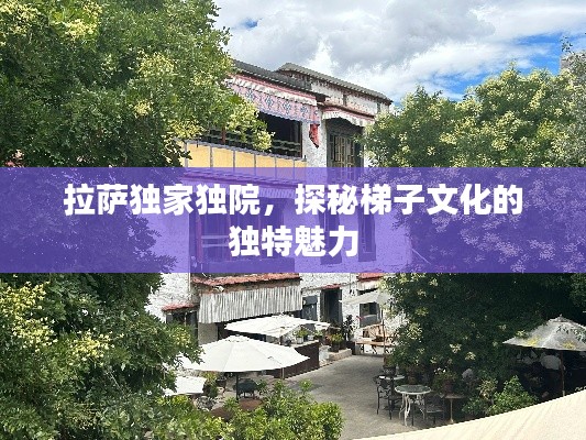 拉萨独家独院,探秘梯子文化的独特魅力