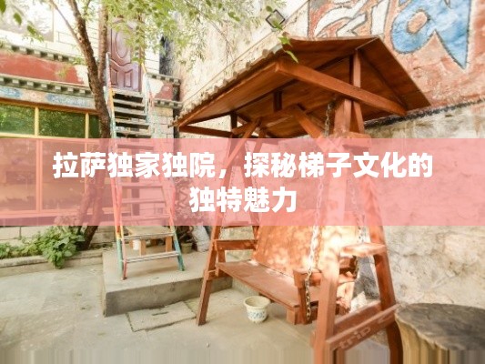 拉萨独家独院,探秘梯子文化的独特魅力