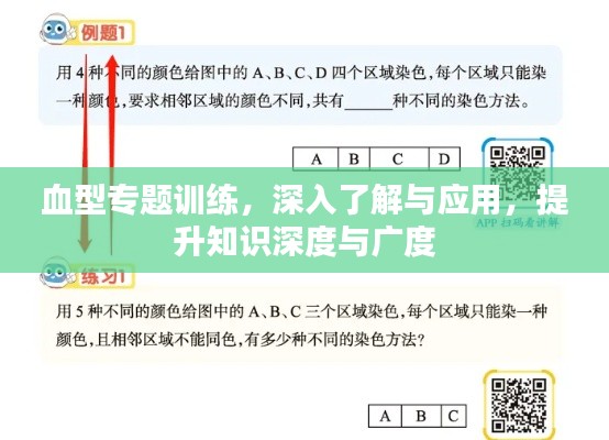 血型专题训练,深入了解与应用,提升知识深度与广度